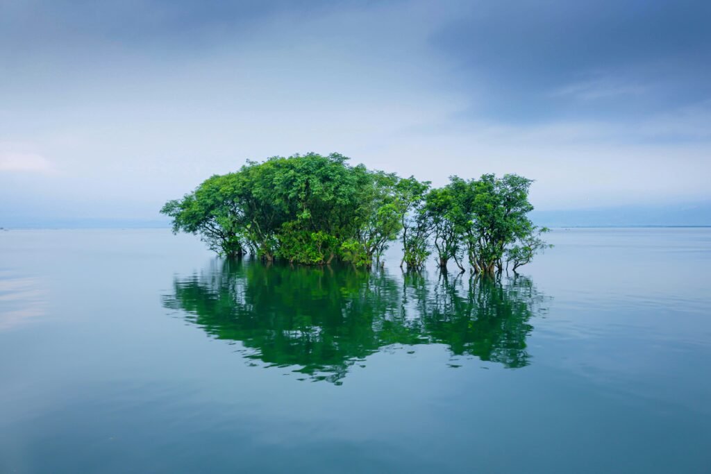 ফটো : 07
