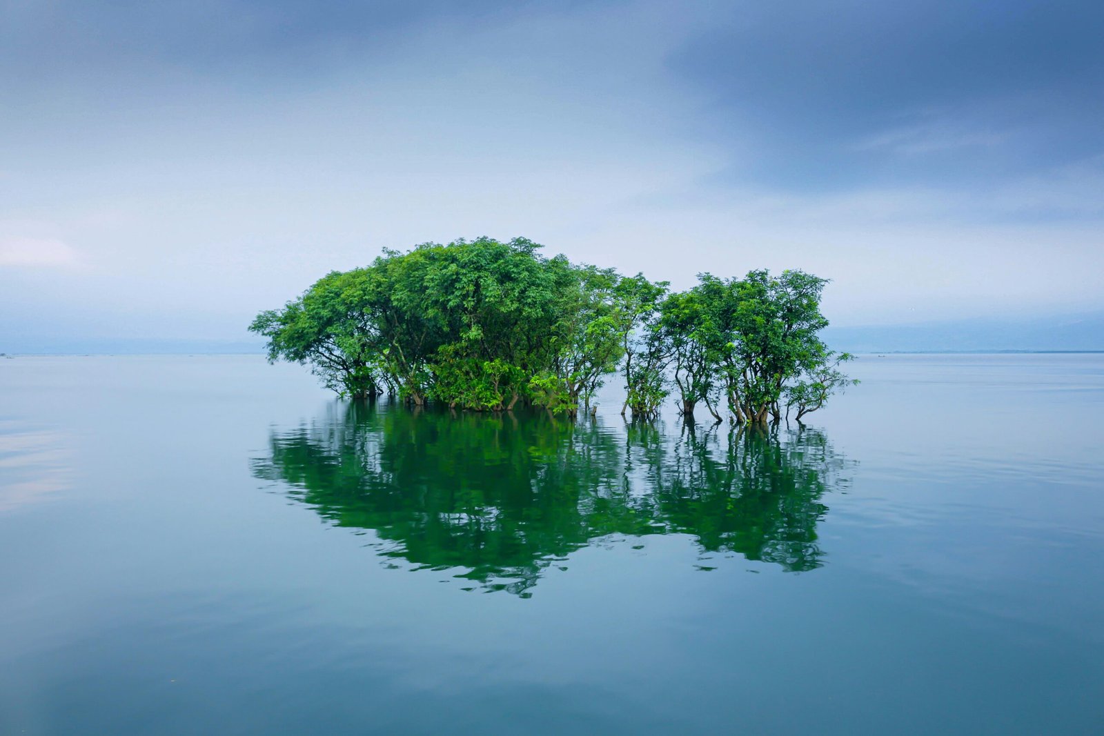 ফটো : 07