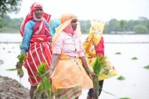 ফটো : 04