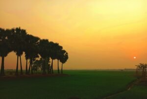 ফটো : 1