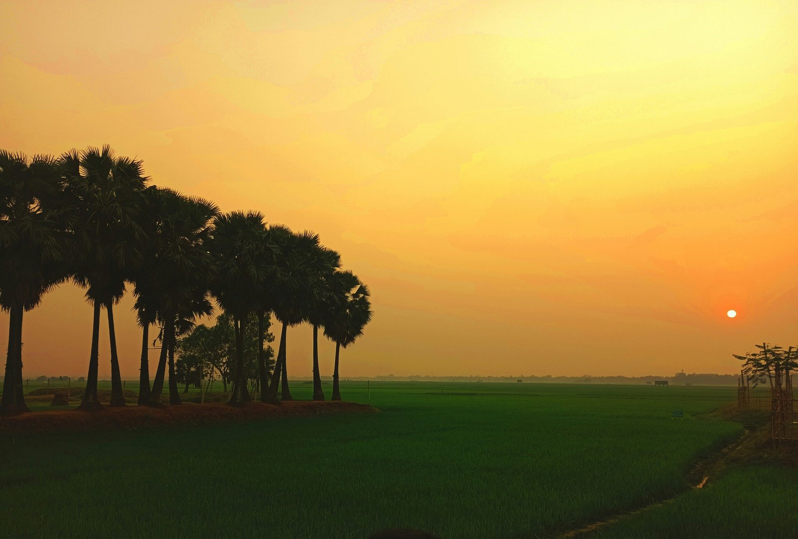 ফটো : 1