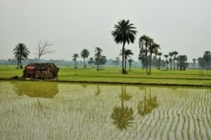 ফটো : 02