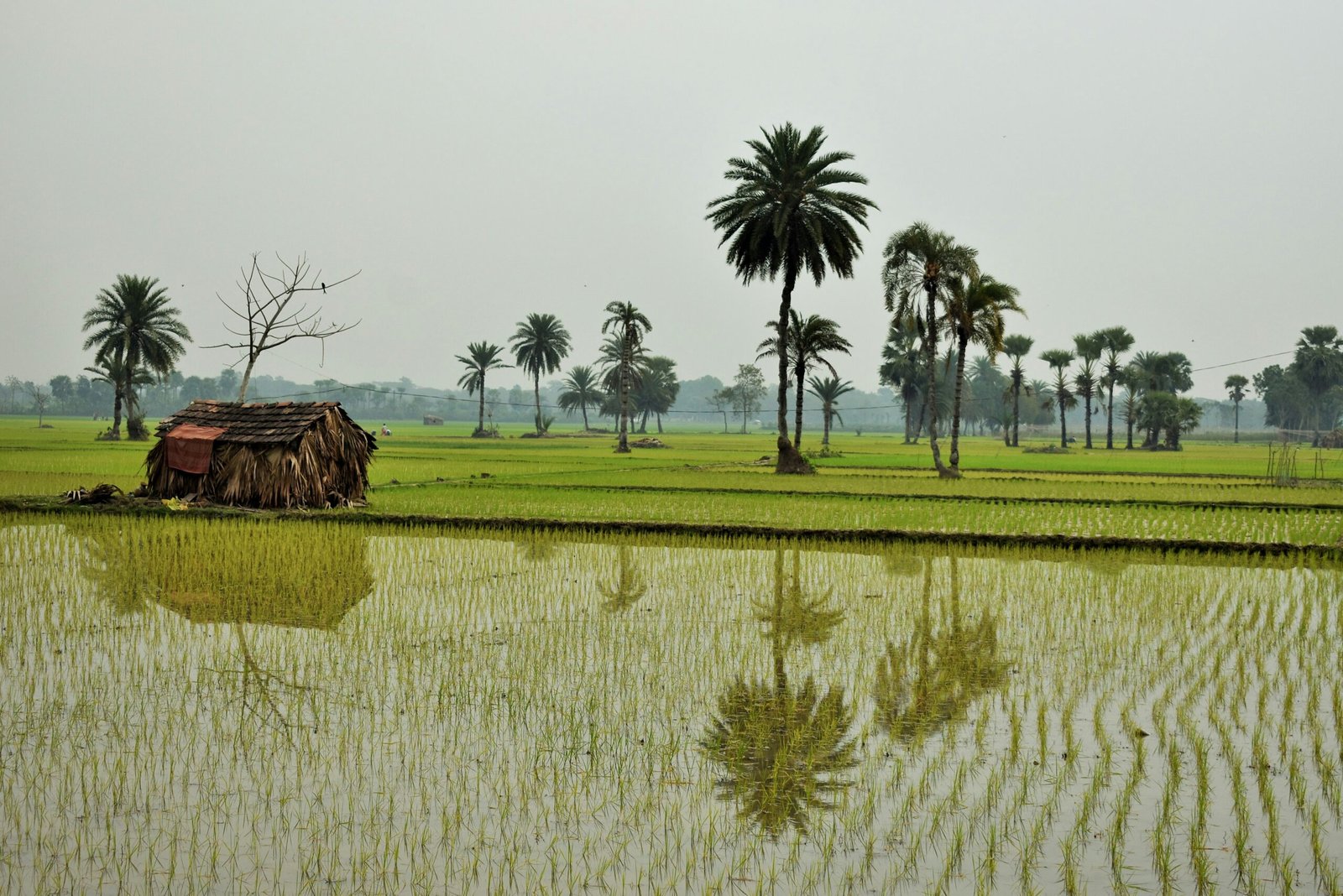 ফটো : 02